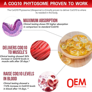 Integratore OEM di Coenzima Q10 450mg, Capsule Softgel di <span class=keywords><strong>CoQ10</strong></span> con Sodio per Migliorare le Funzioni Cognitive - Product Image 3