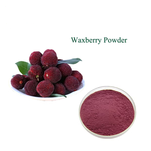 ヤマモモ（紅ヤマモモ、ワックスベリー、ベイベリー）の果実粉末 - Product Image 5