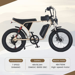 California Warehouse 20 pouces 48V 750W 18.2Ah neige vélo électrique à suspension intégrale vélo électrique tout-terrain - Product Image 6