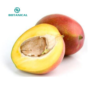 Poudre d'extrait <span class=keywords><strong>de</strong></span> <span class=keywords><strong>mangue</strong></span> africaine, <span class=keywords><strong>noyau</strong></span> <span class=keywords><strong>de</strong></span> <span class=keywords><strong>mangue</strong></span> Irvingia Gabonensis, plante pure soluble dans l'eau - Product Image 4