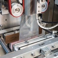 Machine d'emballage de sachets pour liquides de qualité alimentaire, jus, soda, eau, miel, vinaigre, ketchup, boissons