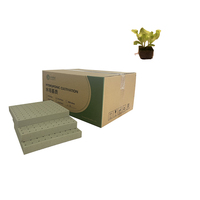 Système hydroponique d'intérieur Tenlead Green House, petits cubes en mousse phénolique pour la culture de plantes, cubes de semis.
