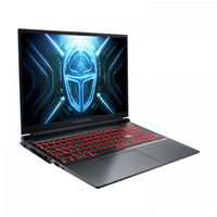 Nouvel ordinateur portable de jeu haut de gamme Intel RTX 4060 ThundeRobot Blade R15 I7-14650HX 165Hz 16GB/24GB/32GB RAM Clavier anglais 512GB/1TB