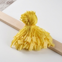 Étiquette de vêtement personnalisée en plastique lavable avec fermeture à clip, cordon torsadé en polyester, corde de suspension pour sacs et chaussures