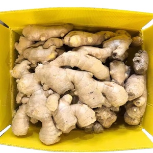 Aria fresca essiccata giovane zenzero cinese cinese prezzo all'ingrosso cibo vegetale zenzero per il mercato del Regno Unito Europa 300g - Product Image 2