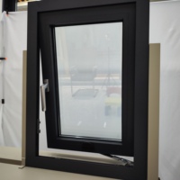 Ventana de baño estándar de estilo abierto oscilante Ventana de toldo de vidrio tintado Pantalla de acero inoxidable Aleación de aluminio Hoteles Oficinas