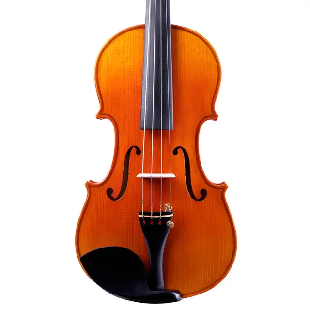 Lzs Medium Instrument 4/4 Students Musical Instruments Custom Violin with European Wood