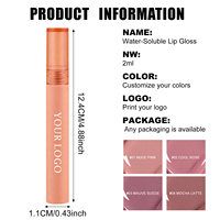 Gloss à lèvres velours hydratant, éclat doux, antioxydant, résistant à la décoloration, teinte à lèvres végane, gloss professionnel pour maquilleurs et salons