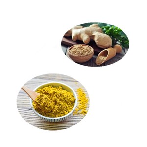 Ekstrak jahe Kurkumin kunyit bubuk kuning kapsul pengisian Curcuminoid Multi spesifikasi 2025 tersedia - Product Image 6