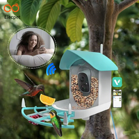 Nourrisseur d'oiseaux avec caméra, prend en charge la reconnaissance d'espèces d'oiseaux par intelligence artificielle, vidéo en