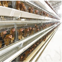 Cage à batterie automatique moderne de type H pour poules pondeuses, système d'élevage avicole haute capacité
