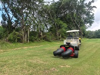 Peniup Daun yang Kuat untuk Lapangan Golf dan Lapangan Olahraga |   Penghilang Sampah Rumput Berkecepatan Tinggi untuk Perawatan Lapangan Profesional Harga Deposit Adalah