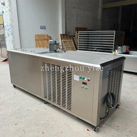 Stock disponible Afrique Bloc Fabrication de glace Cube industriel Machine à glaçons Machine à glace commerciale