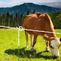 Zuinige Heldere Polywire Elektrische Afrastering Accessoires Voor Boerderijdieren Eenvoudige Montage En Lage Prijs
