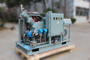 Stationair Psa-Staartprocessysteem Voor Olievrije Heen En Weer Bewegende Gascompressor Kooldioxide-Waterstofterugwinning Met Motor - Product Image 3