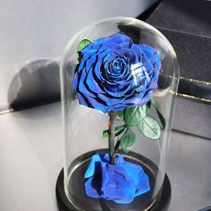 Natural China Factory The cute Hot Selling Long Stem Preserved Roses Rosa Bella y <span class=keywords><strong>La</strong></span> <span class=keywords><strong>Bestia</strong></span> - Product Image 1