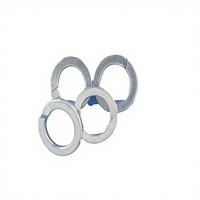 China High Quality Mild Steel Spring Washers Zinc Plated DIN127