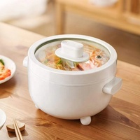 Mini pot chaud multi-fonction, PP et acier inoxydable 304, 600W, 1.5L, contrôleur d'action instantanée, nouveauté