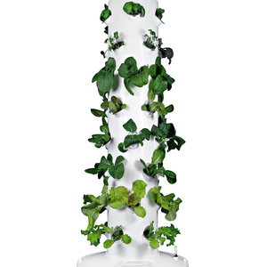 Kit Sistema di Coltivazione Idroponica |   Contenitore per <span class=keywords><strong>Alimenti</strong></span> con 40 Vasi a Rete (Senza Luci) - Product Image 1