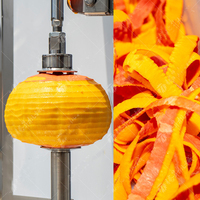 Kokosverwerkingslijn - Kokos snij-/blokjes-/strookjes-/schilmachine voor fruit en groenten, hoge productiviteit, bakkerijapparatuur