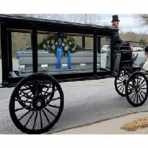 Carruaje Moderno de Caballos Personalizado para Últimos Ritos, Servicio Funerario Americano con Construcción de Metal y Madera - Product Image 1