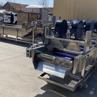 Automatische groentewasinstallatie met vortextechnologie, industriële oplossing voor het reinigen van fruit en groenten, te koop.