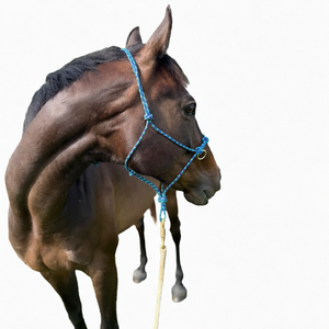 Cabestro Ajustable de Nylon Trenzado para Caballo, Resistente, para Entrenamiento, para Ponis de Tamaño Completo - Product Image 1