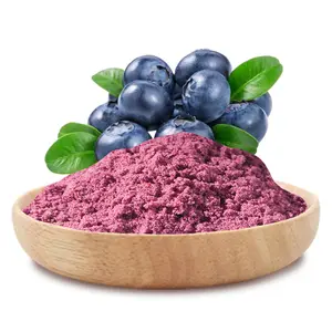 Blue Berry Em Pó Suco De Fruta Blueberry selvagem Secas Açaí Em Pó Pó