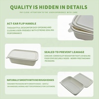LiYi Magnetronbestendige 1000ml Wegwerp Lunchbox Voedselcontainer Recycleerbaar Biologisch afbreekbaar BPA-vrij Robuust Duurzaam Deksel Koelbaar