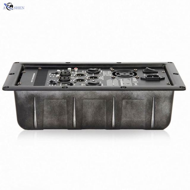 Dsp Audio 1000wattt Power Amplifiers Class d Power Amplifier Module With XLR Input for Studio Subwoofer Sub Speaker
