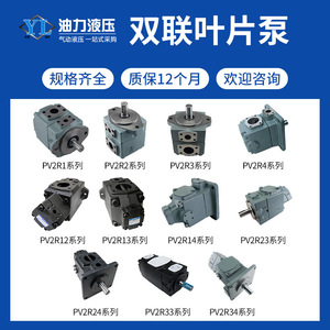 ปั๊มใบพัดคู่ PV2R1-19F ปั๊มระบบไฮดรอลิกที่มีเสียงรบกวนต่ำและมีความแม่นยำสูง - Product Image 5