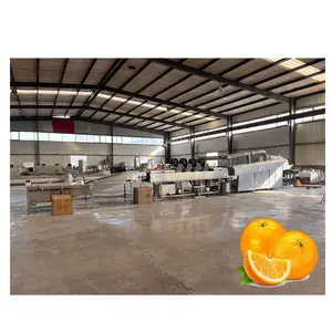 5+1 Level High Precision Apple Orange Potato Weight Sorting Production Line/Vegetable Washing Drying and Sorting Line