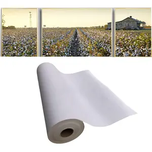 纯棉绘画帆布艺术家哑光100% 棉卷喷墨印刷油漆空白帆布360gsm优质白色1卷