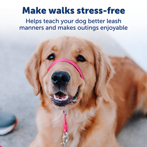 Correa para el cuello a presión rápida sin tirones, lazo para la nariz, cabeza Halter para perro, correa de nailon duradera, líder suave, <span class=keywords><strong>Collar</strong></span> para la cabeza sin tirones para tirar de mascotas - Product Image 4