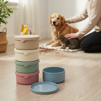 Boîte à lunch classique en silicone souple personnalisée, de qualité alimentaire, réutilisable et écologique, pour plats chauds – Vente en gros