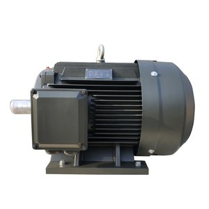 Moteur asynchrone triphasé à induction haute efficacité 18,5 kW 380 V - Product Image 3
