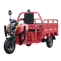 Tricycle électrique motorisé chinois à 3 roues, carrosserie ouverte, charge utile de 400 kg, batterie 60 V, puissance supérieure à 1000 W, vitesse de 30 km/h