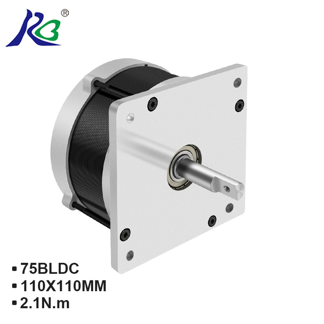 RB High Torque 270w Dc Motor Brushless Motor for Drone Bldc Motor Manufacturing Machine with Gearbox 12v 24v