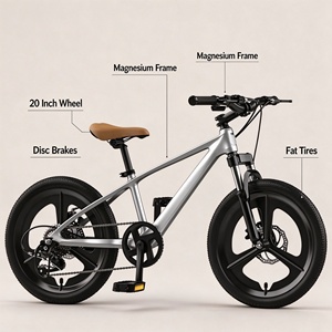 Vélo de montagne pour enfants, cadre en alliage de magnésium léger de 20 pouces, frein à disque, pneus larges, pour enfants de 10 à 12 ans, vélo d'extérieur - Product Image 2