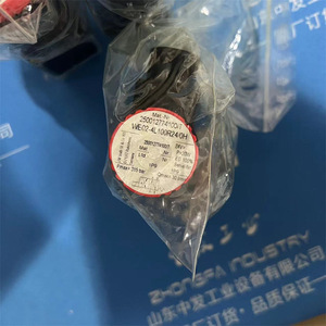 Válvula Solenoide We50 4r100r24 0h, 24V, Estándar Alemán, para Control de Agua de Automóvil, Tipo de Desbordamiento Unidireccional, Aluminio Fundido a Presión - Product Image 3