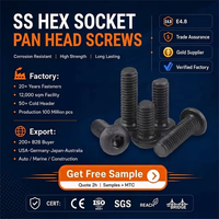 OEM Custom M3 M5 M6 M8 M10 M12 M14 M16 Carbon Steel Black Oxide Hex Socket Pan Button Cap Head Screws