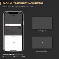Sakelar Lampu Dinding Pintar WiFi 1 Arah Terpanas, Aplikasi Smart Life, Warna Hitam Amerika, 1 Grup 10A, Bahan PC, Sakelar Pintar