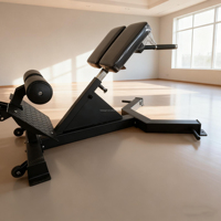 Chaise romaine pliable à 45 degrés pour exercices et entraînements à domicile