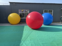 Échantillon Gratuit - Ballon Publicitaire Géant Gonflable à l'Hélium à Couleurs Changeantes pour Événements et Promotion Extérieure