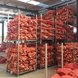 محصول جديد 2024 من البصل الأحمر الطازج والبصل الأبيض الأصفر السعر لكل طن في الصين من المصدر