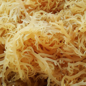 Mousse de mer séchée aromatisée biologique/mousse irlandaise séchée/Eucheuma Cottonii de haute qualité dans un sac à vendre 2022 - Product Image 1