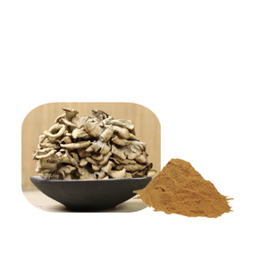 Extrait de champignons Maitake et Polyporus en poudre, 30% de bêta-glucane, qualité alimentaire, extraction liquide-solide - Product Image 1