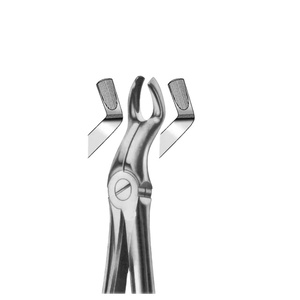 แยกคีมกรามบนสามฟันกราม67 - Product Image 2