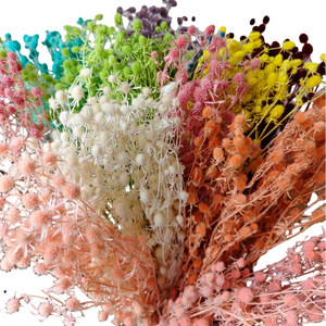 Fleur de mélaleuca stabilisée pour arrangements domestiques, élégant matériau de bouquet pour cadeaux de remise de diplôme, de Pâques et du Nouvel An - Product Image 1