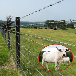 Strengthened anti-rust galvanized steel <b>wire</b> <b>mesh</b> cattle and sheep pen fencing net for livestock and poultry breeding enclosure - Product Image 3